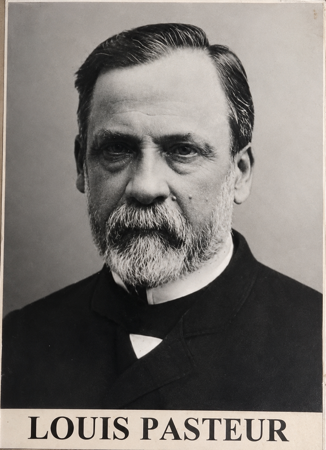 Clinique Louis Pasteur - Vue 1